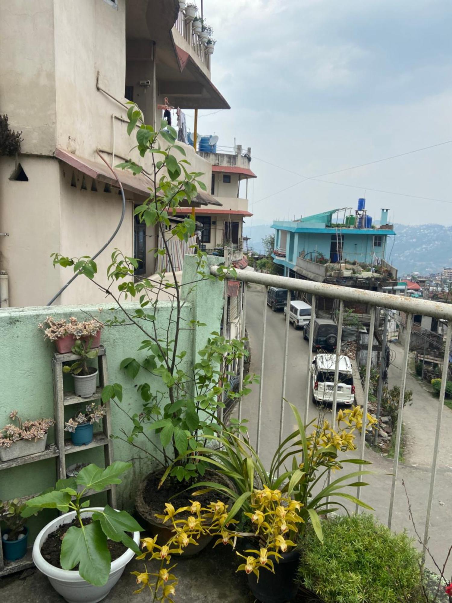 Maple Homestay Kohima Exterior photo